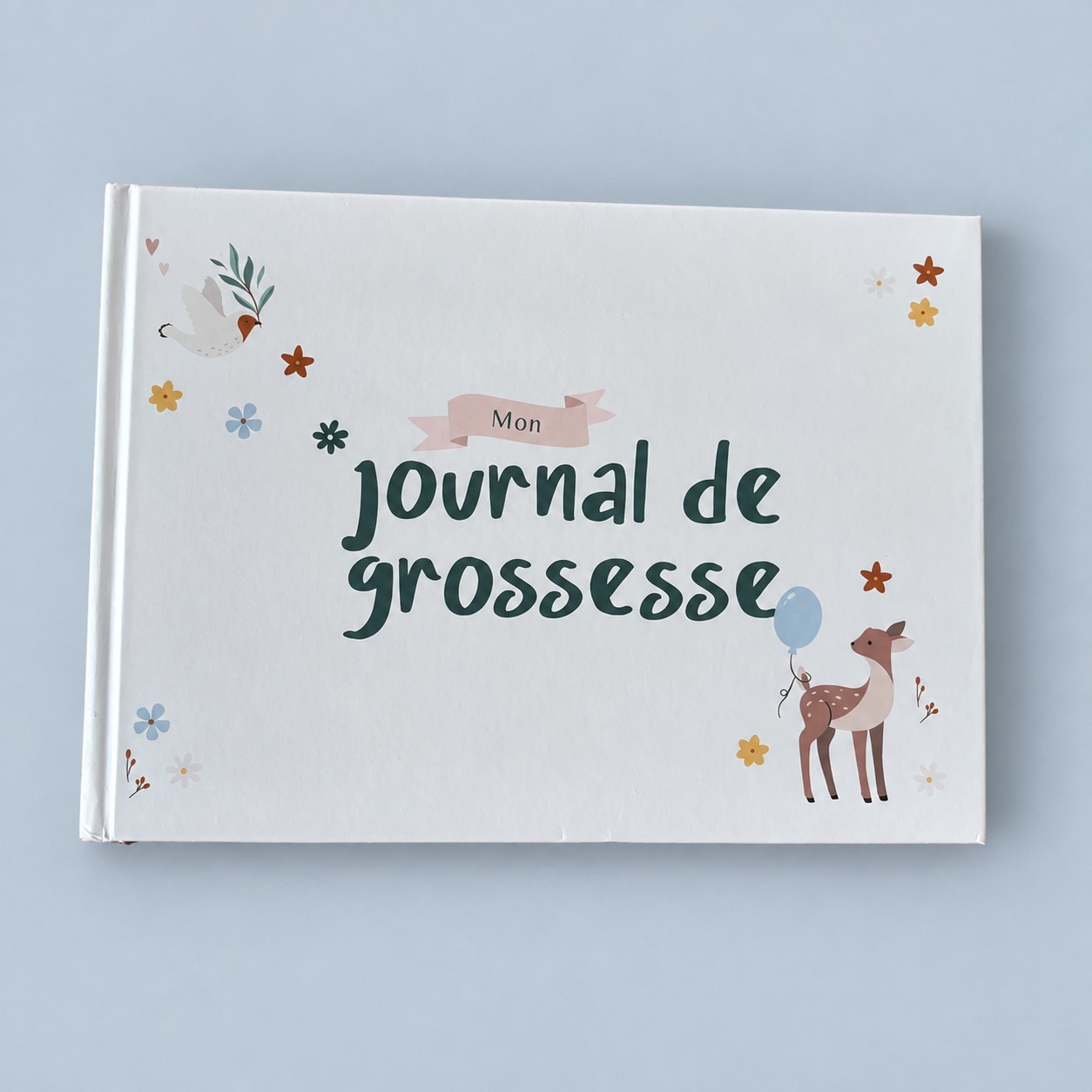 Dziennik ciąży w języku francuskim — aranżacja poglądowa AI na szaroniebieskim tle