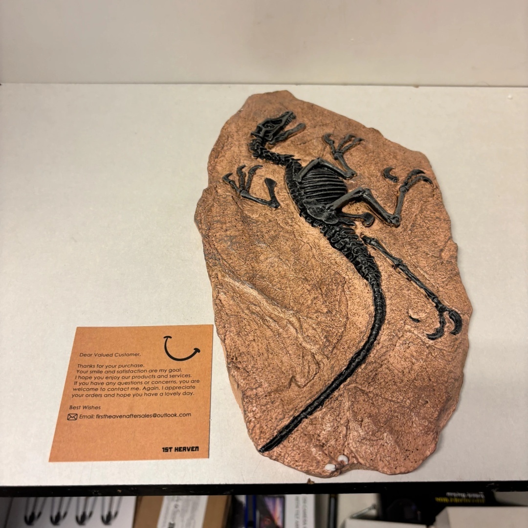 Szkielet Dinozaura z Żywicy Skamielina Dekoracyjna Vintage