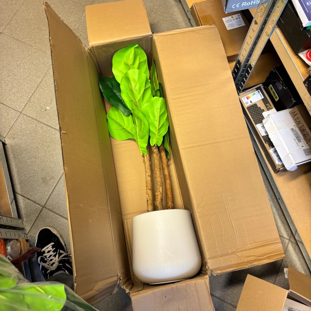 Sztuczne drzewko Fikus Lyrata 150 cm Kazeila